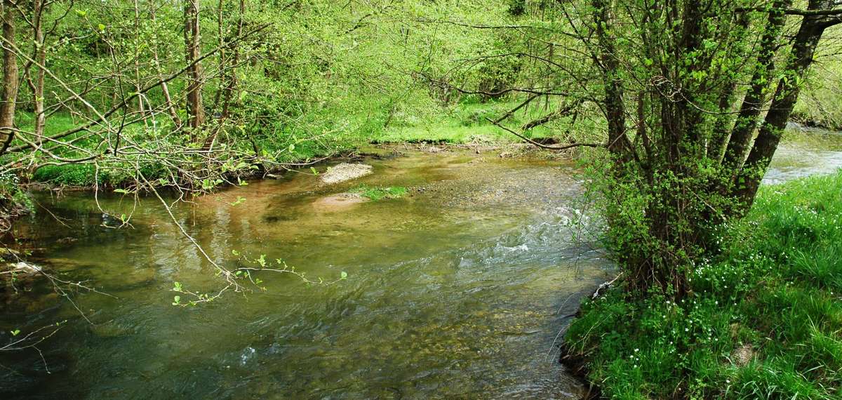 Les cours d'eau de 1ère catégorie en MeurtheetMoselle Fédération de pêche de MeurtheetMoselle