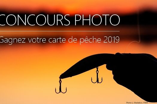 Concours photo