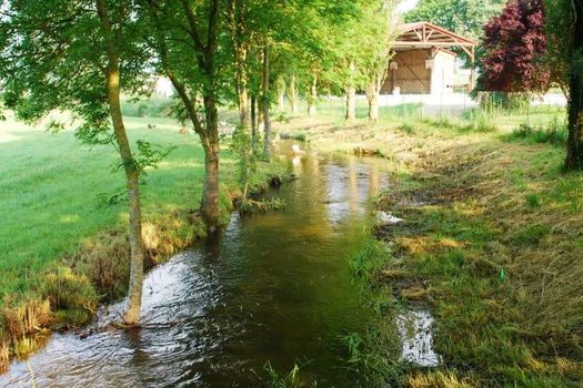 Fermeture temporaire sur l'Aroffe et l'étang de Bulligny 