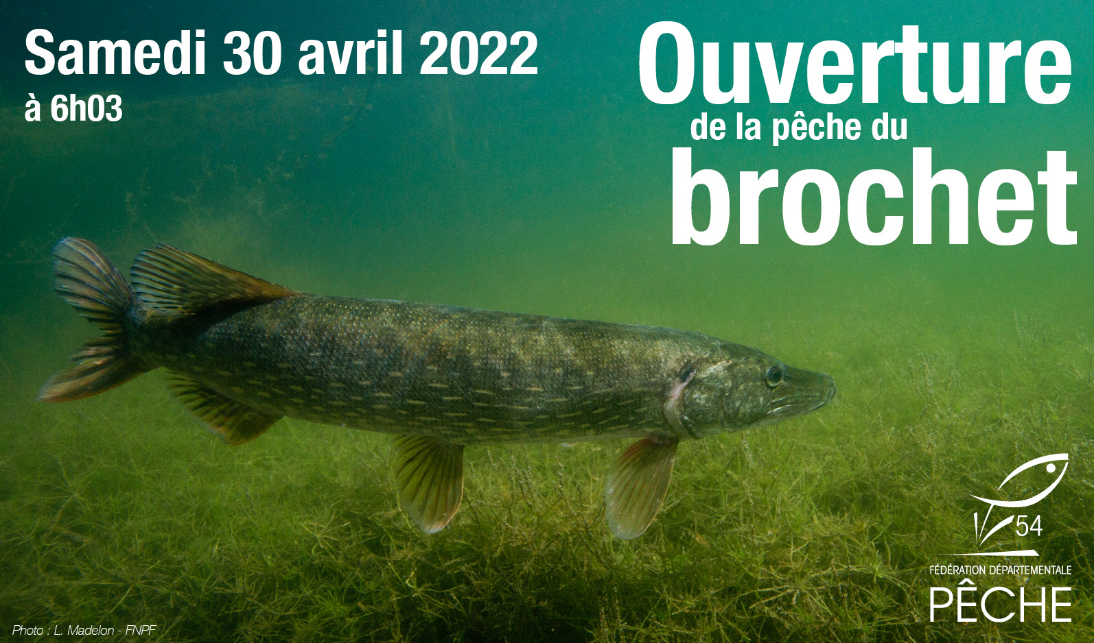 Ouverture de la pêche du brochet : les pratiquants retrouvent l'un de leurs  carnassiers favoris le 29 avril ! - Fédération Nationale de la Pêche en  France