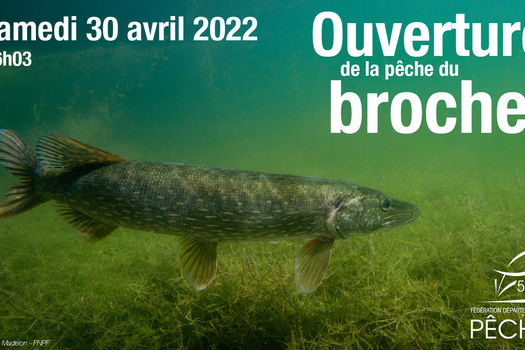 Ouverture du brochet samedi 30 avril