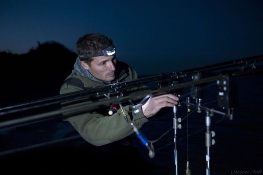 1er avril : ouverture de la pêche de la carpe de nuit