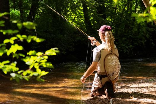 Retour sur les Assises Régionales des Sports de Nature