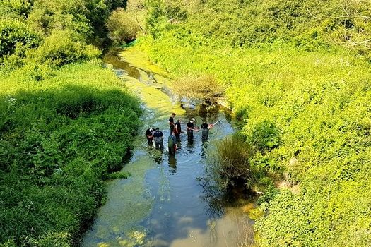 Campagnes de pêches d'inventaire et de sauvetage 2018