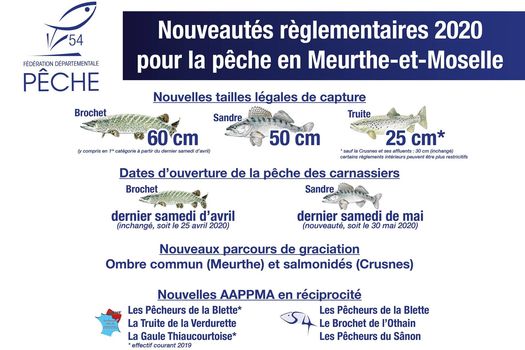 Nouveautés réglementaires pour 2020