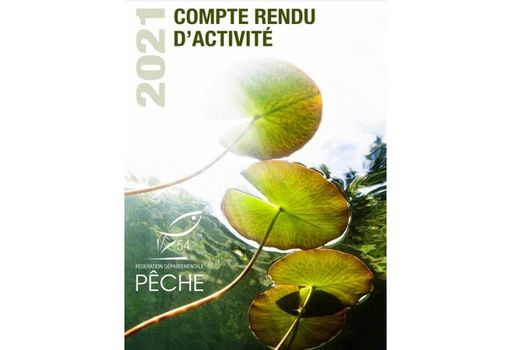 Compte rendu annuel d'activités 2021