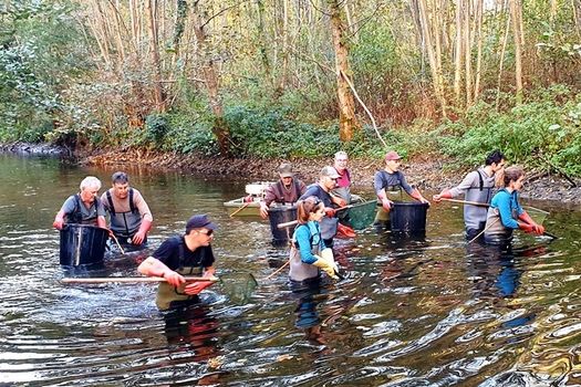 Pêches de sauvetage sur le canal de la Marne au Rhin