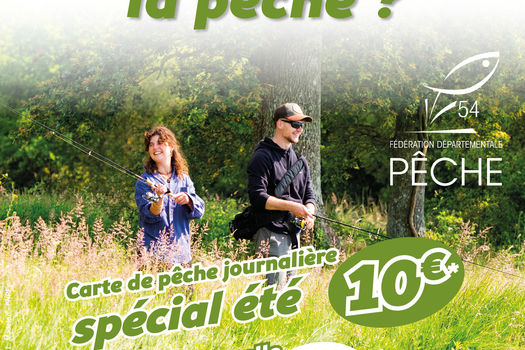 Carte journalière estivale à 10€