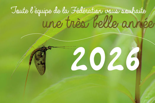 Bonne année 2026