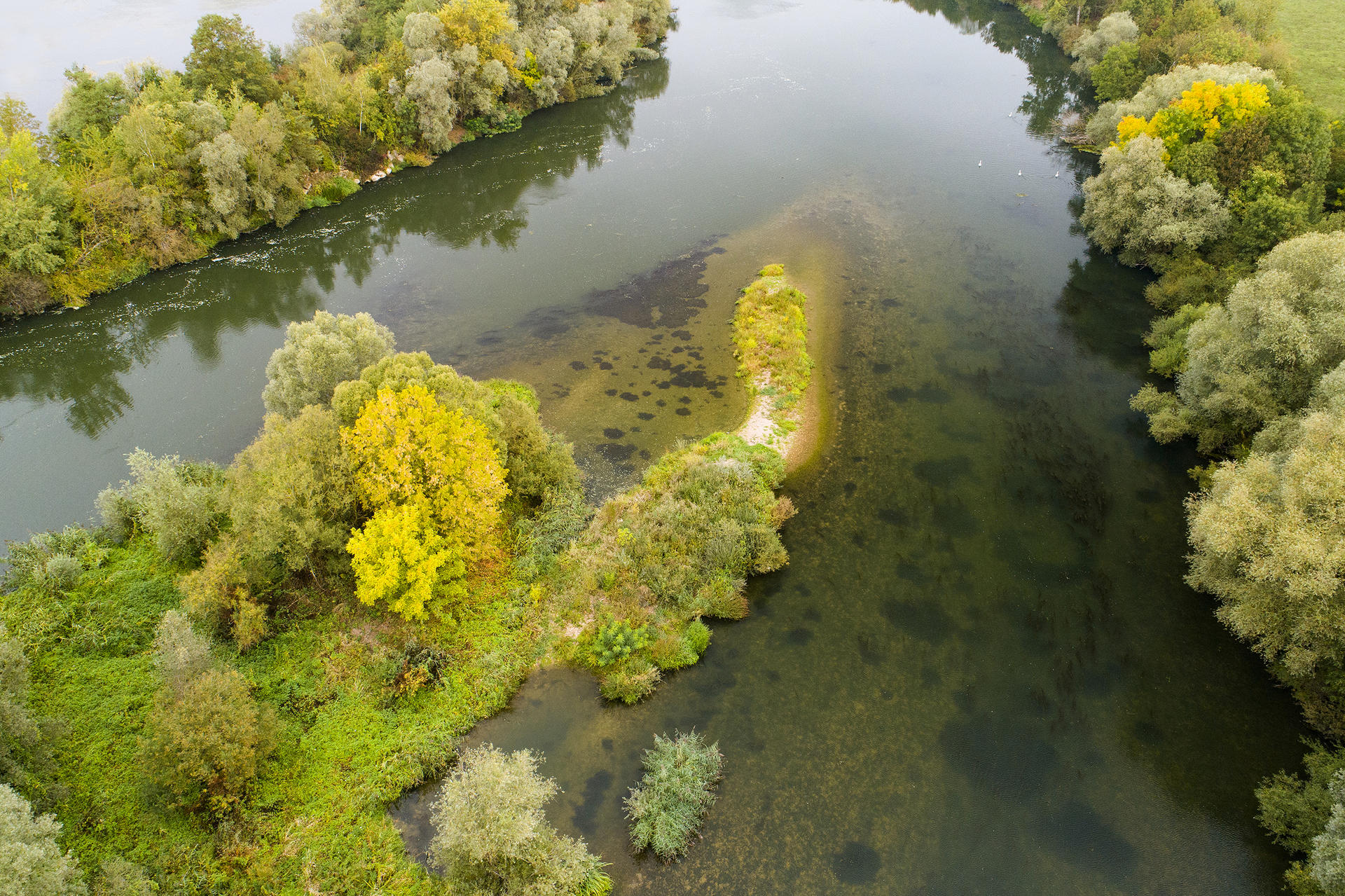 Tout Pour La Peche Pont A Mousson AAPPMA Les fins pêcheurs de Blénod - Fédération de pêche de  Meurthe-et-Moselle