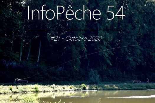 Newsletter InfoPêche54 #21 - Octobre 2020