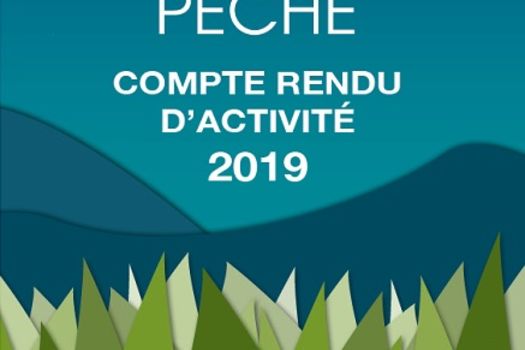 Compte rendu annuel d'activité 2019