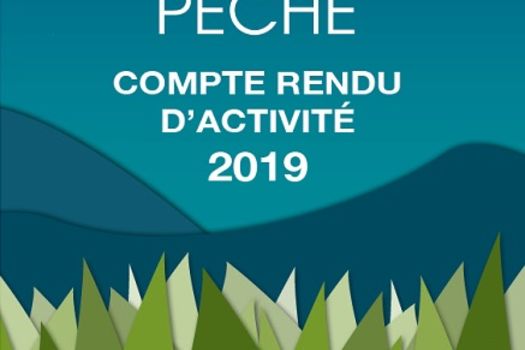 Compte rendu annuel d'activité 2019