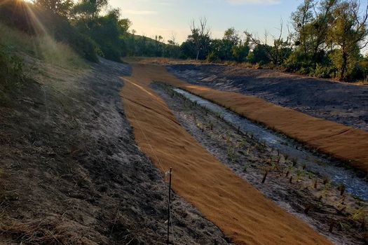 Une nouvelle frayère à Blénod-les-Pont-à-Mousson