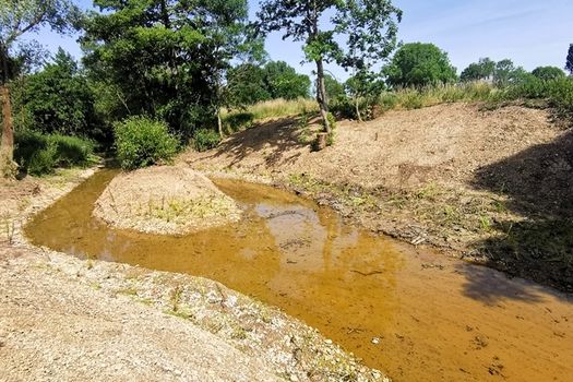 Restauration de la frayère du Pâtis à Pont-Saint-Vincent