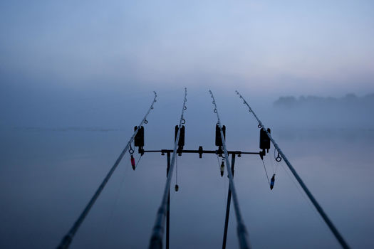 1er avril : Ouverture pêche de la carpe de nuit