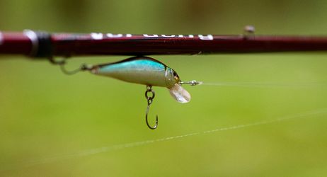 Stage pêche au leurre